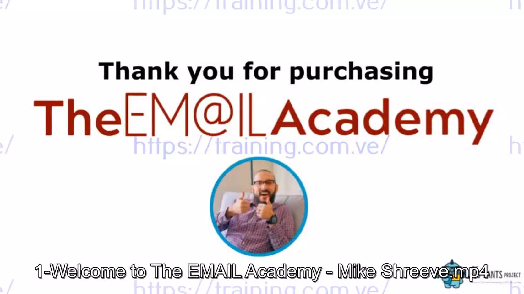 The Email Academy by Mike Shreeve Free