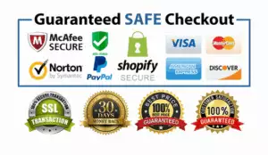 safe-checkout-mcafee-secure-paypal